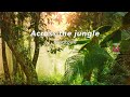 Across the jungle  ringtone