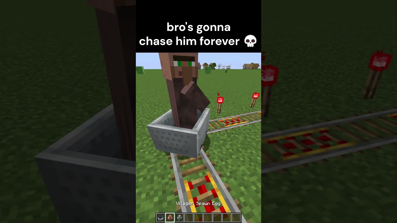 Minecraft Vindicator Moment