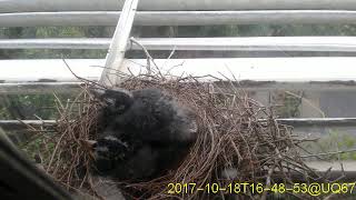 20171018T1630~1700