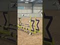 some rounds and jump offs ♡♡ #horse #equestrianjourney #equestrian #mylitlepony #horsefan