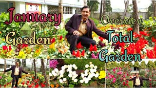 मेरा जनवरी का गार्डन ओवरव्यू देखिए / January 2019 Garden Overview