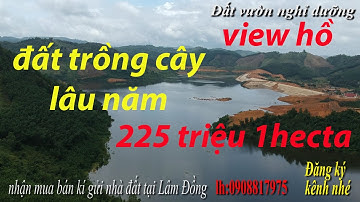 ngưng giao dịch_quả đồi view hồ tại lâm đồng giá cực rẻ video full
