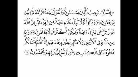 القارئ سعد الغامدي - سورة الأنعام - من الآية 36 إلى الآية 38
