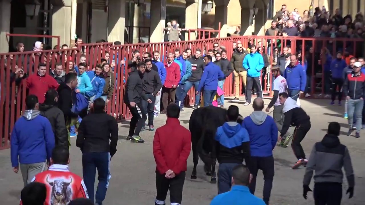 camera iphone 8 plus apk El Toro del Carnaval 2017 de Medina de Rioseco