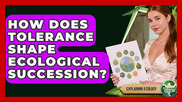How Does Tolerance Shape Ecological Succession? - Explaining Ecology