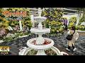 International Orchid and Flower Show 2026.　世界らん展2026
