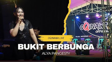 BUKIT BERBUNGA - OQINAWA X ALYA PANGESTY LIVE