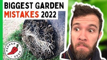 Top 5 Pepper Growing Mistakes of 2022 - Pepper Geek