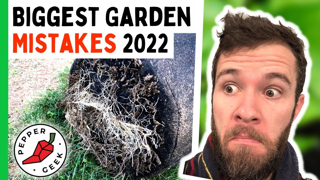 Top 5 Pepper Growing Mistakes of 2022 Pepper Geek YouTube