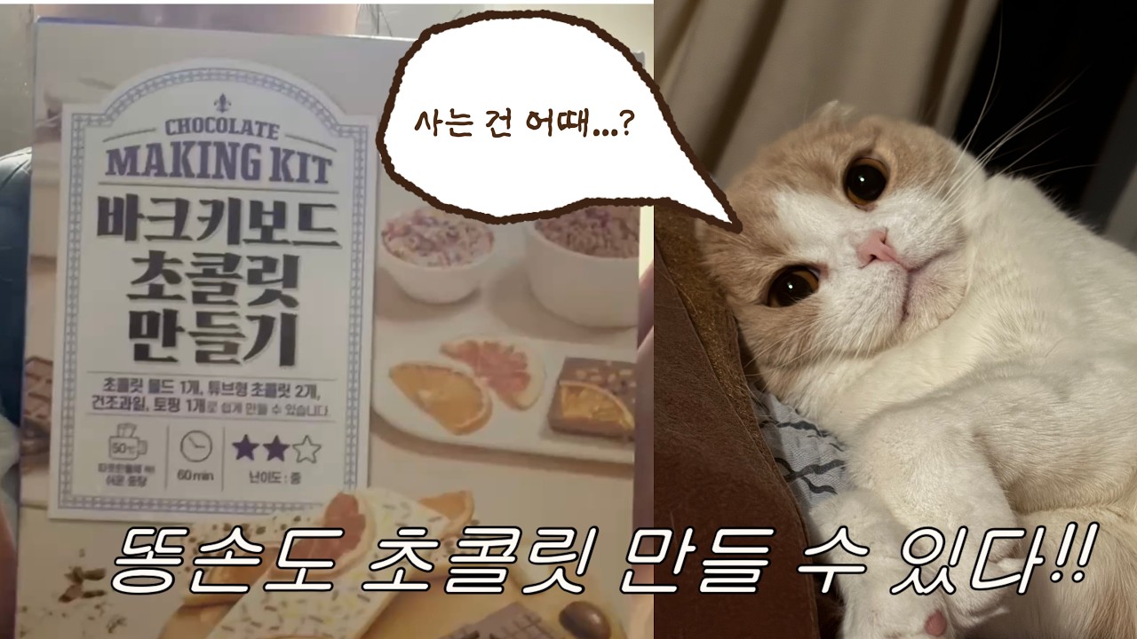 [발렌타인데이] 다이소 재료로 초콜릿 만들기 (feat.남자친구 후기)