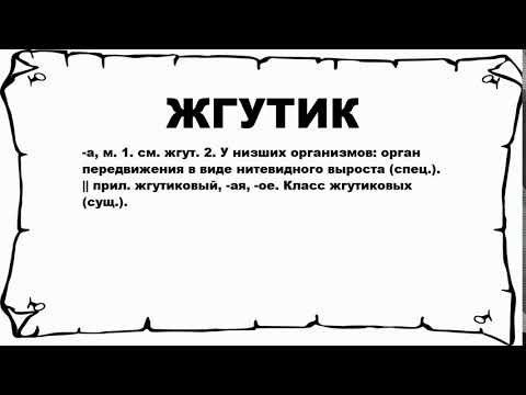 ЖГУТИК - что это такое? значение и описание