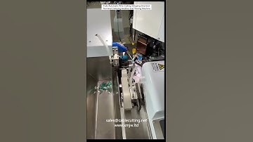 Fully Automatic Wire Cutting Stripping One End Terminal Crimping Another End Tinning Machine