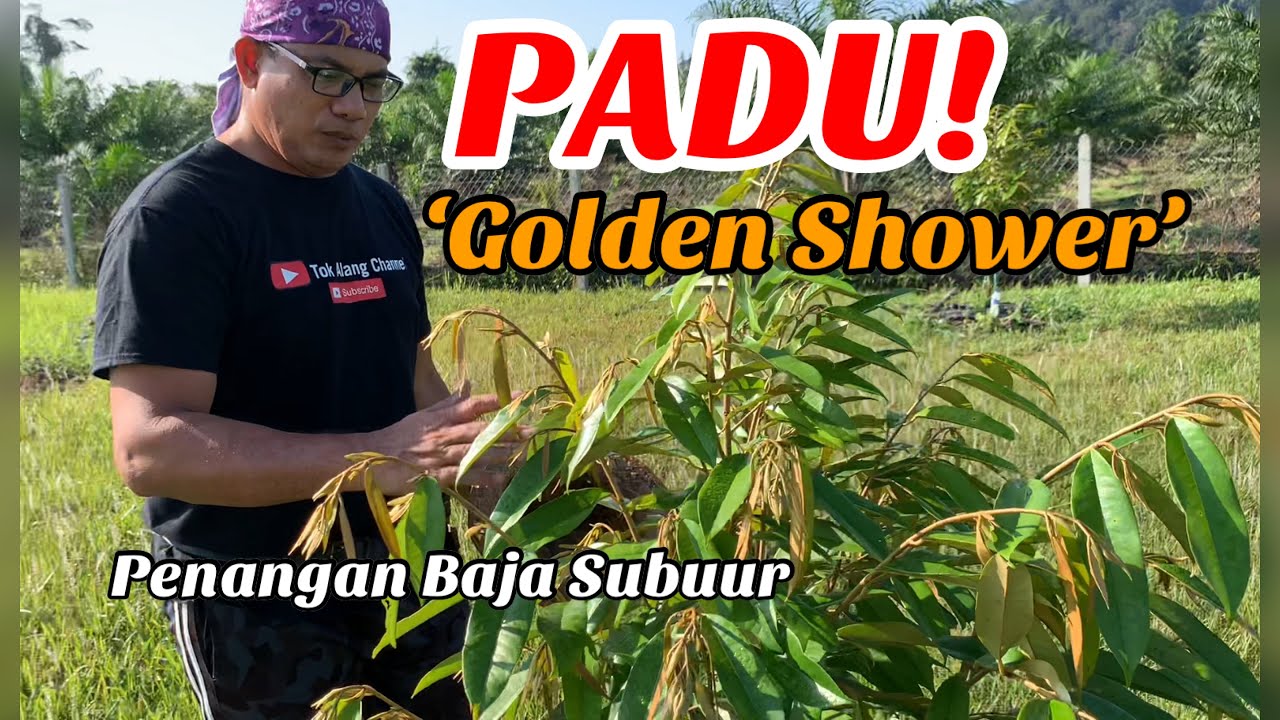 Fenomena ‘Golden Shower’ - Kalau Tepat Pembajaannya, Memang Padu Giler!