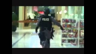 flashpoint-team tribute(21 guns)