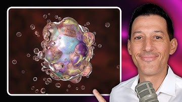 How to Eliminate Aging Zombie Cells to Live Longer