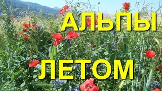 Альпы летом. Франция. Альпы летом. Франция.