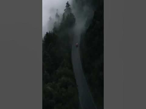 Загадочный лес - YouTube