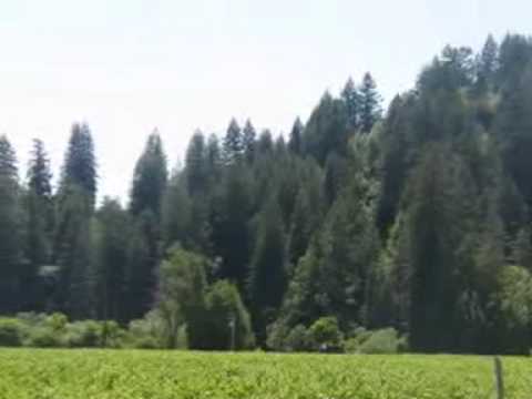 Ukiah Morning/Paul Hanson (teaser video)