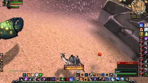 Another Mysterious Camel Figurine Dud