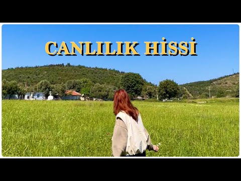 Canlılık, Canlı Hissetmek, Sisifos, Sırça Fanus || Hayattan Sohbetler