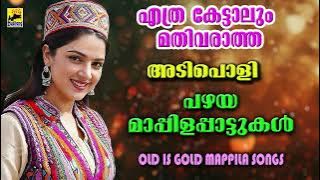 Mappila Pattukal | Mappila Songs | Old Mappila Pattukal | പഴയ മാപ്പിളപ്പാട്ടുകൾ Kannur Shareef Songs