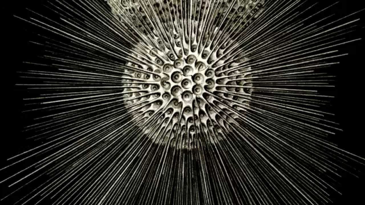 Kunstformen Der Natur