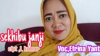 Lagu Ldanung Terbaru  Sekhibu Janji  Ciptl Komar  Coverefrina Yanti