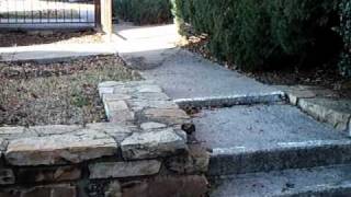 Resistance Promo December 2009