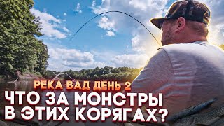 Рыбалка На Реке Вад. На Что Клюет Хищник В Жару?