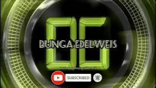 Bunga edelweis (lirik) Thomas arya cover Gayo91