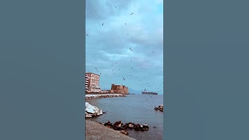 تلاوة خاشعة من سورة المزمل للقارئ أحمد العبيد