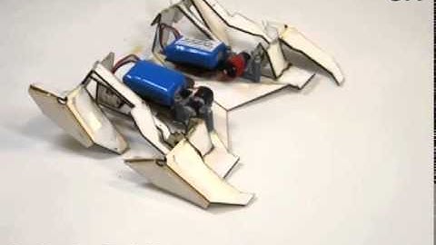 Self-Folding Robots