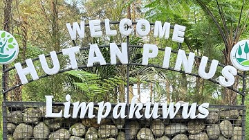 Outbond Ke Hutan Pinus Purwokerto Bersama Teman-teman BIMBA🥰