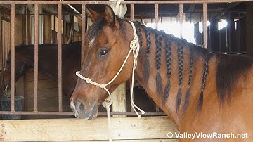 Starlight Oaklyn***For info, price, etc., go to our website***ValleyViewRanch.net