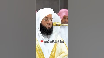تلاوة مباركة للشيخ بدر التركي من سورة غافر