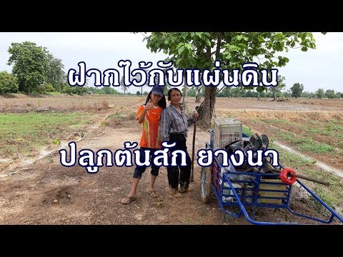 Poryu Farm 2019 l ฝากไว้กับแผ่นดิน ปลูกต้นสัก ต้นยางนา ปลูกป่าเศรษฐกิจ