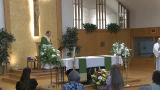 Fourteenth Sunday in Ordinary Time July 5 , 2026