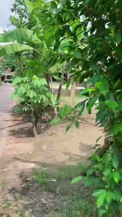 Halu tingkat dewa akibat kelamaan jomblo#short #tiktokviral#videolucu#video ngakak#videoshort