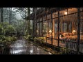 8 Hours Endless Rain Sound For sleep and Relaxation | Rainy Ambience