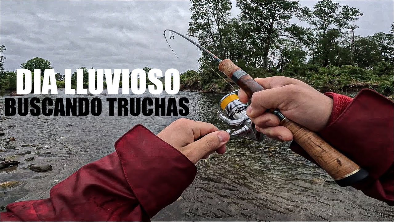 ¿PICARA CON LLUVIA? PESCA DE TRUCHAS #fishing #trucha #chile #pescaultralight