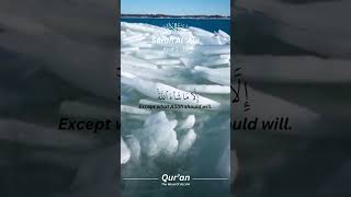 Surah Al - ‘Ala Ayat 1 - 19 - By Hisham Al Haraz #quran #islam