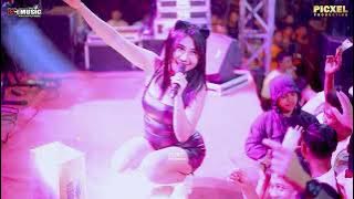 SIA SIA MENHARAP CINTAMU ARY FRANSISKA - MH MUSIK HAPPY PARTY SETI GANG;S LIVE DUKUHSETI PATI