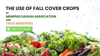 The Use Of Fall Cover Crops By Memphis Dawah Association and Trice Ministries
