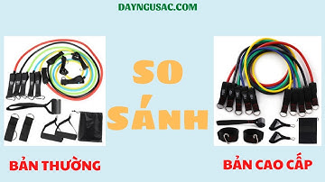 So Sánh Dây kháng lực Ngũ Sắc Tập Gym Đàn Hồi Bản Thường Và Bản Cao Cấp Tại Phát Phát Sports