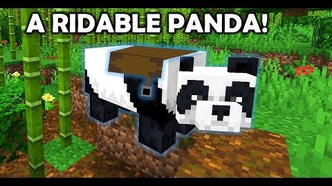 How to Ride a Panda in Minecraft Java Edition - NO MODS