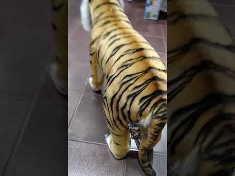 1.Тигр, серия Animal Seat, 78 см, реалистичная мягкая игрушка Hansa (6080)