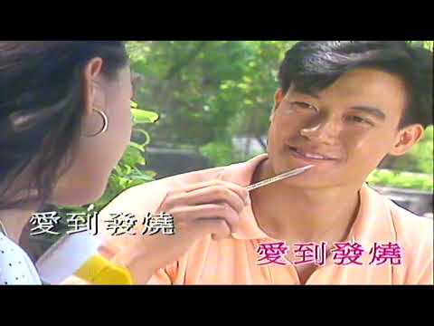 愛到發燒 （音樂）林子祥