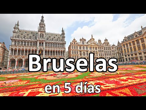 Video: Bruselas Bélgica Guía de viaje