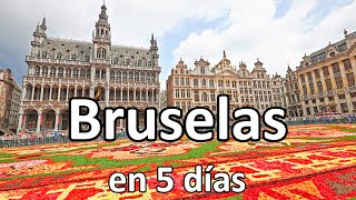 📌 BRUSELAS en 5 días 🟢 GUÍA DE VIAJE (4K) | Bélgica