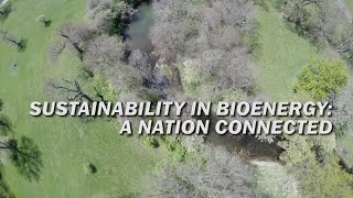 Sustainability in Bioenergy: A Nation Connected